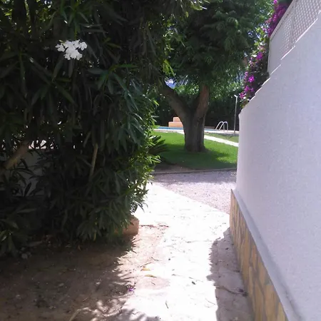 Mimosas Nyaraló *