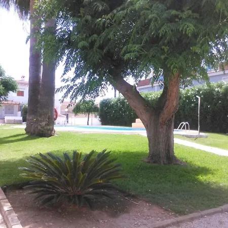 Mimosas * Denia